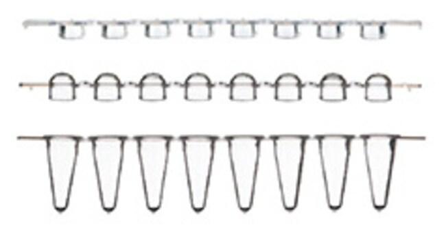 Мікропробірки низькопрофільні THERMO SCIENTIFIC™, 0.15 мл в стрипах по 8 шт білі, ПП, з пласкими ПП кришками в стрипах по 8 шт, для ПЛР